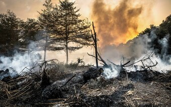 Оценка ущерба после стихийного бедствия в Махачкале: отчет оценщика